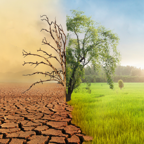 Áder János: A klímaváltozás hatásai és a fenntartható fejlődés