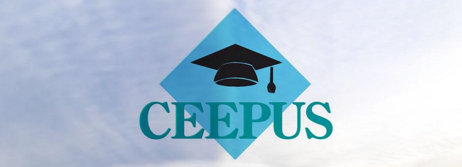 Two Networks Coordinated by the PPCU won in the CEEPUS programme