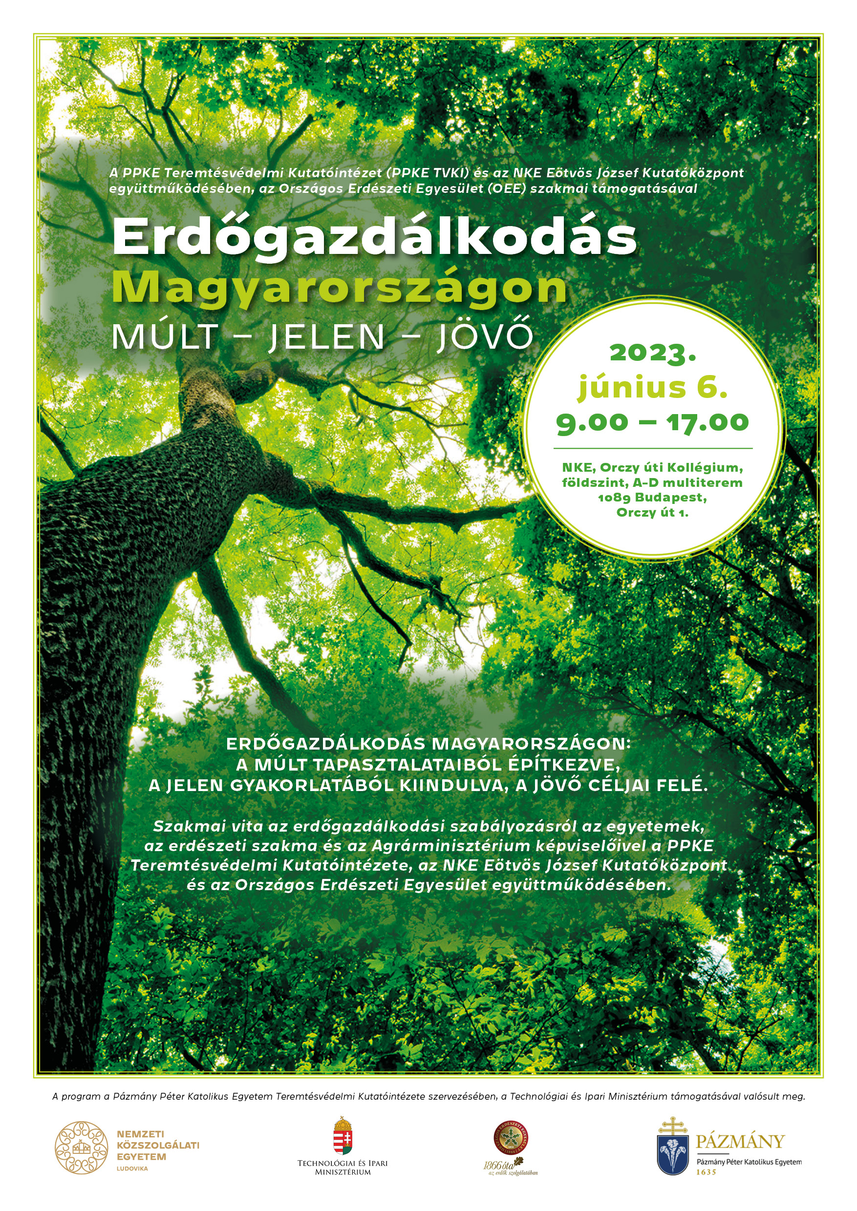 Erdőgazdálkodás Magyarországon: múlt-jelen-jövő