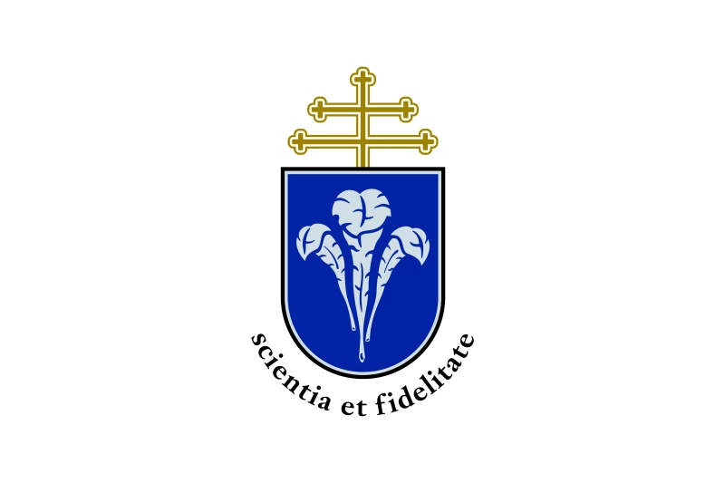 Közlemény